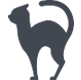 Gray-Cat